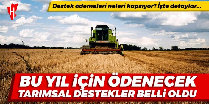 Resmi Gazete'de yayımlandı: Çiftçilere bu yıl ödenecek tarımsal destekler belli oldu! Destek ödemeleri neleri kapsıyor? İşte detaylar...