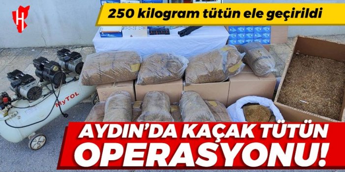 Aydın’da kaçak tütün operasyonu: 250 kilogram tütün ele geçirildi