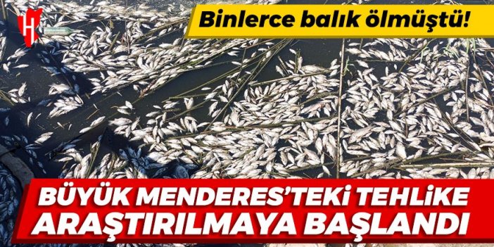 Büyük Menderes'teki tehlike araştırılmaya başlandı