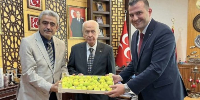 MHP lideri Devlet Bahçeli’ye Aydın inciri ikram ettiler