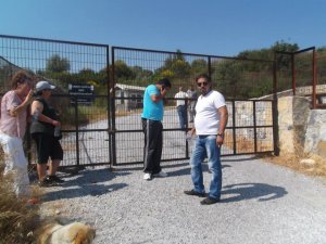 Kuşadası Belediyesi’nin Hayvan Hakları Ödülü Tehlikede