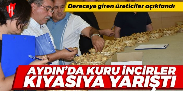 Aydın'da kuru incir yarışması düzenlendi! İşte dereceye giren incir üreticileri...