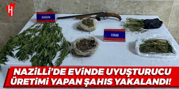 Nazilli’de evinin bahçesinde kenevir yetiştiren şüpheli yakalandı