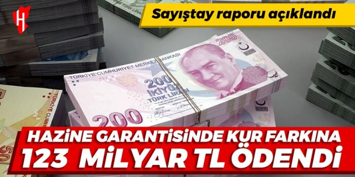 Sayıştay raporu açıklandı: Hazine garantisinde kur farkına 123 milyar lira ödendi