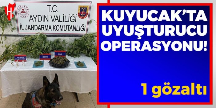 Kuyucak’ta uyuşturucu operasyonu: 1 gözaltı