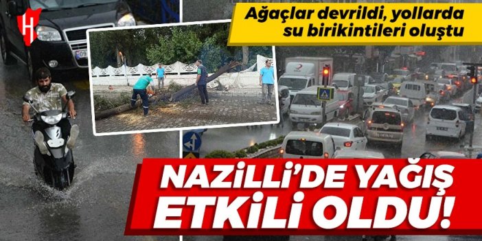 Nazilli'de sağanak yağış etkili oldu: Ağaçlar devrildi, yollarda su birikintileri oluştu