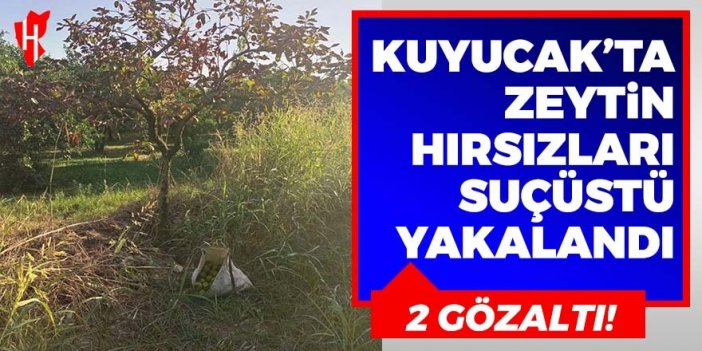 Kuyucak’ta zeytin çaldığı öne sürülen 2 şüpheli suçüstü yakalandı