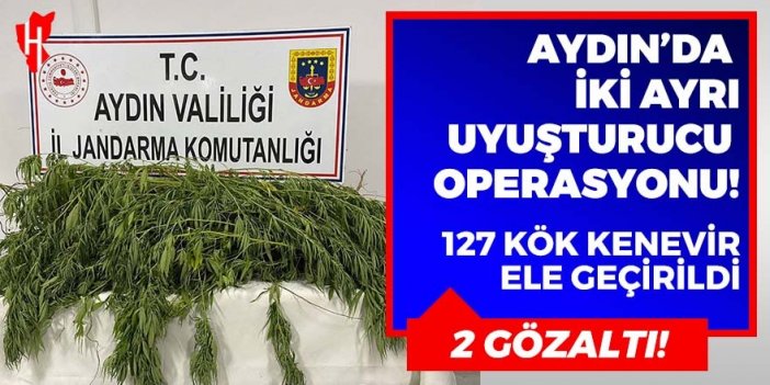 Aydın’da iki ayrı uyuşturucu operasyonu: 2 gözaltı