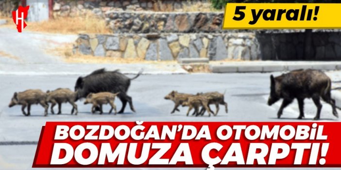 Bozdoğan’da otomobil domuza çarptı: 5 yaralı