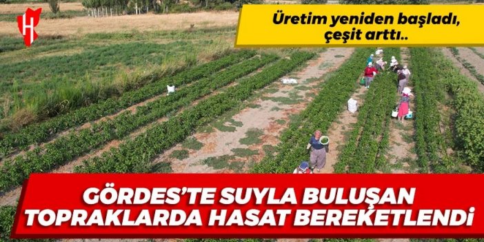 Gördes'te suyla buluşan topraklarda çeşit arttı, hasat bereketlendi