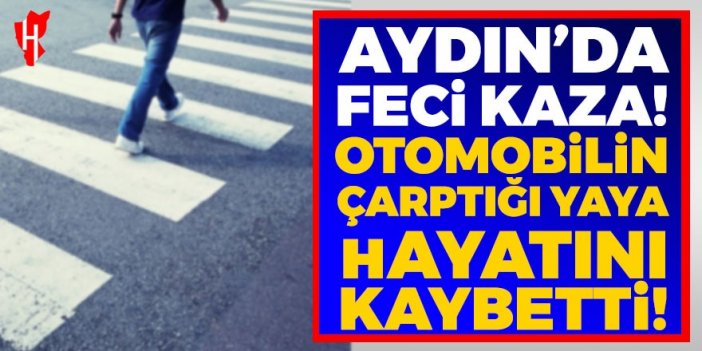 Aydın'da feci kaza! Otomobilin çarptığı yaya hayatını kaybetti