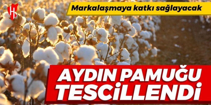 Aydın pamuğu tescillendi