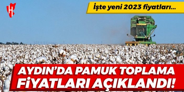 Aydın’da pamuk toplama fiyatları açıklandı