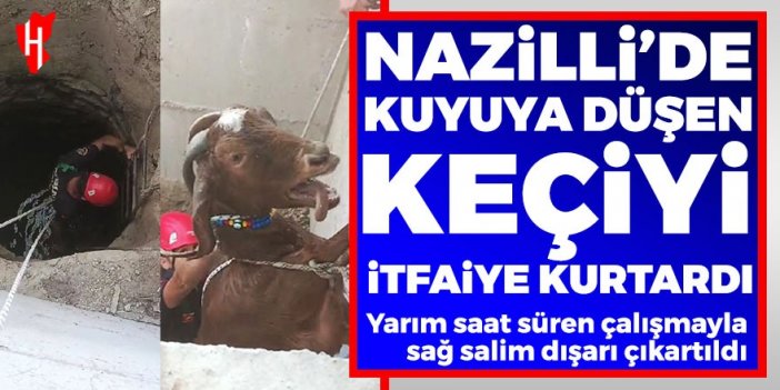 Nazilli’de kuyuya düşen keçiyi itfaiye kurtardı