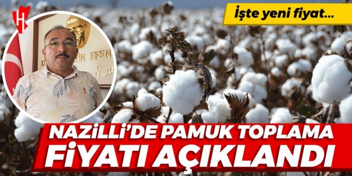 Nazilli’de pamuk toplama fiyatı açıklandı: İşte yeni fiyat...