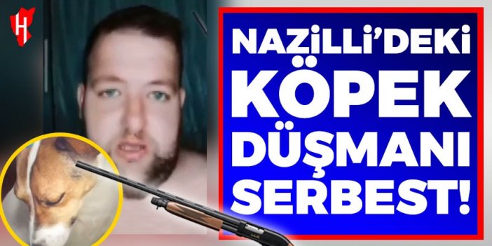 Nazilli'deki köpek düşmanı adam serbest bırakıldı!