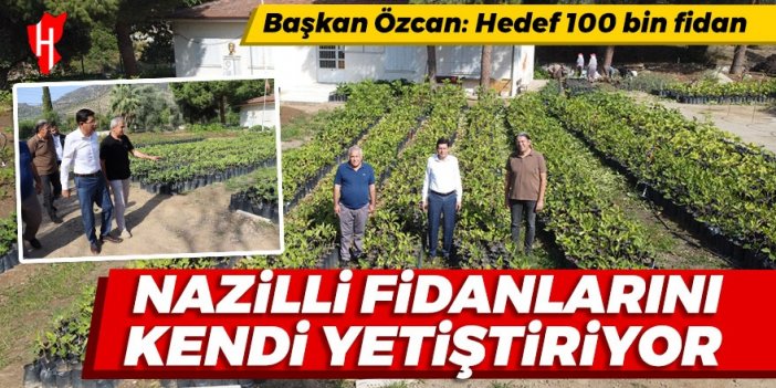 Nazilli fidanlarını kendi yetiştiriyor: Üretim sahasında binlerce fidan yetiştiriliyor