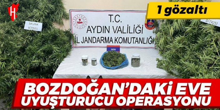 Bozdoğan’da uyuşturucu operasyonu: 1 gözaltı