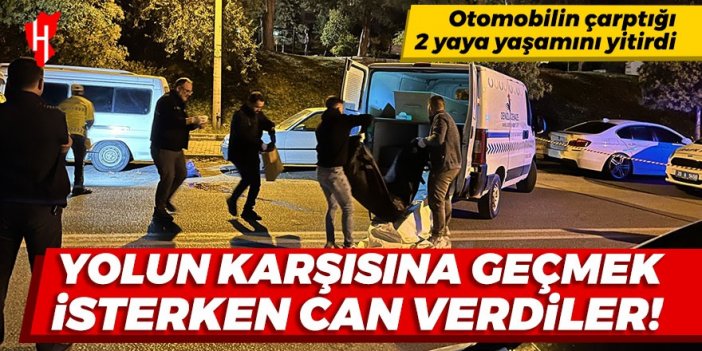 Yolun karşısına geçmek isterken can verdiler: Otomobilin çarptığı 2 yaya yaşamını yitirdi