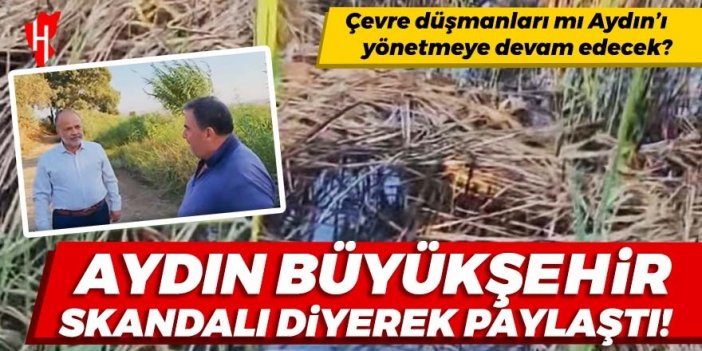 AK Partili Yavuz “Aydın Büyükşehir skandalı” diyerek paylaştı