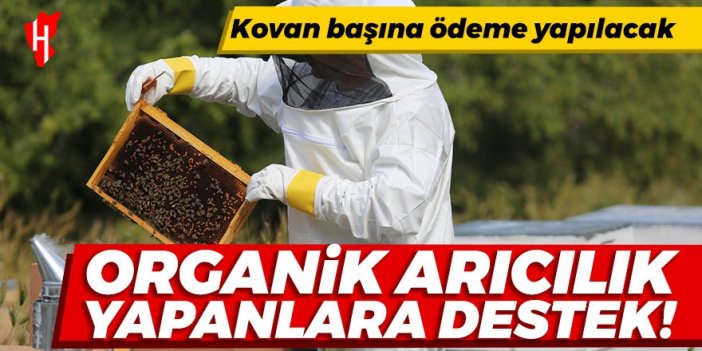 Resmi Gazete'de yayımlandı: Organik arıcılık yapanlara destek