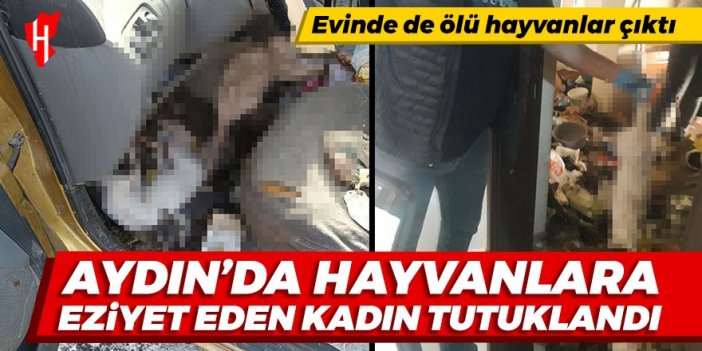 Aydın'da hayvanlara eziyet eden kadın tutuklandı