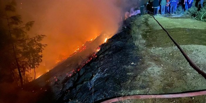 Son dakika: Muğla'da orman yangını başladı