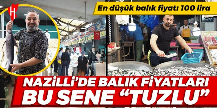 Nazilli’de balık fiyatları bu sene tuzlu: En düşük balık fiyatı 100 lira