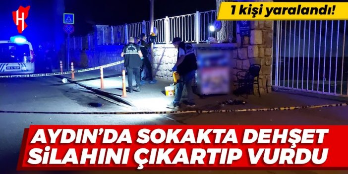 Aydın'da sokakta silahlı saldırı: 1 kişi yaralandı