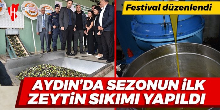 Aydın'da sezonun ilk zeytin sıkımı yapıldı