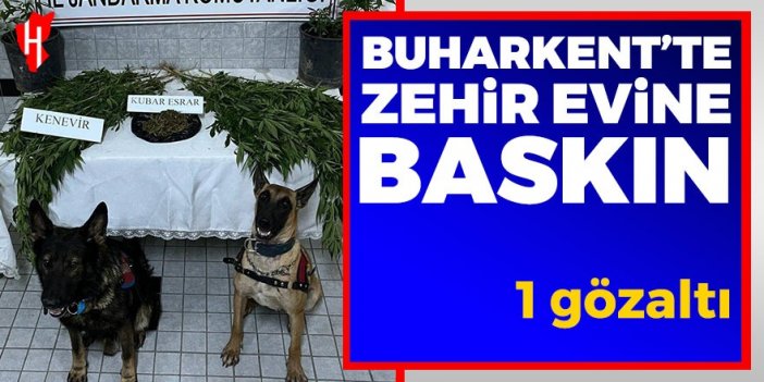 Buharkent’te uyuşturucu operasyonu: 1 gözaltı