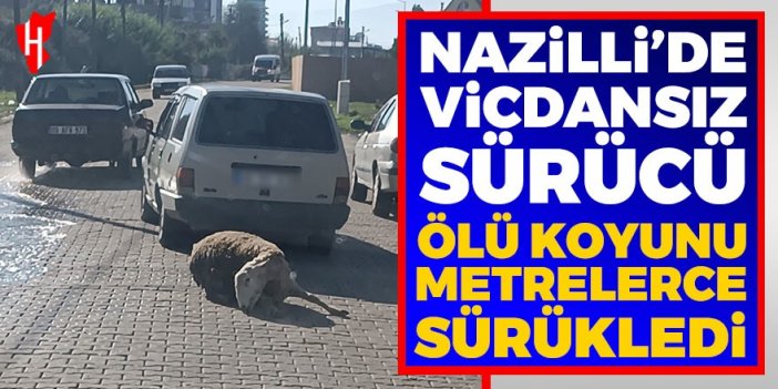 Nazilli'de ölü koyunu otomobilinin arkasına bağlayıp sürükledi