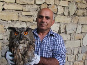 Karacahayıt’ta 'Puhu' Operasyonu