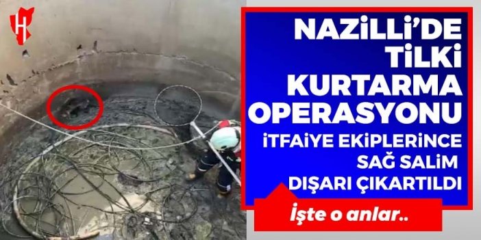 Nazilli’de su deposuna düşen tilkiyi itfaiye kurtardı