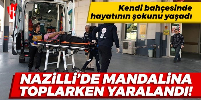 Kendi bahçesinde hayatının şokunu yaşadı: Nazilli’de mandalina toplarken yaralandı