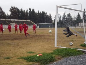 Aydınspor 1923, Perinçek'i Gündemine Aldı