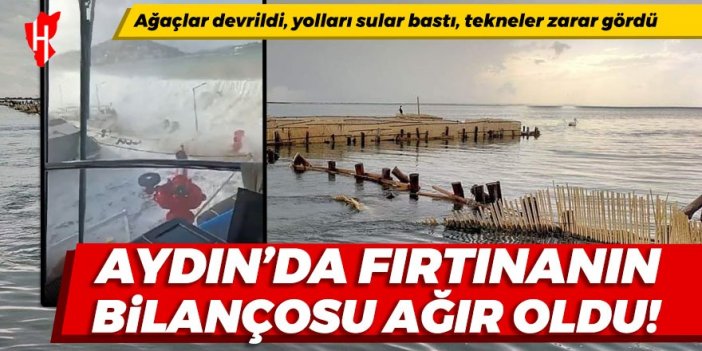 Aydın'da fırtınanın bilançosu ağır oldu: Ağaçlar devrildi, yolları sular bastı, tekneler zarar gördü