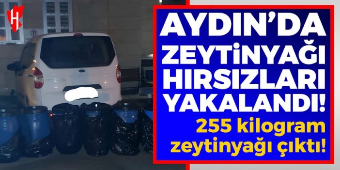 Aydın'da zeytinyağı hırsızları yakalandı: 3 kişi tutuklandı