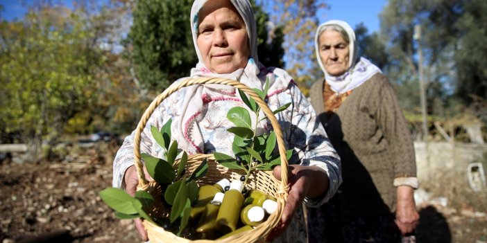 Dağlardan toplanan defne meyveleri geleneksel yöntemle yağa dönüştürülüyor