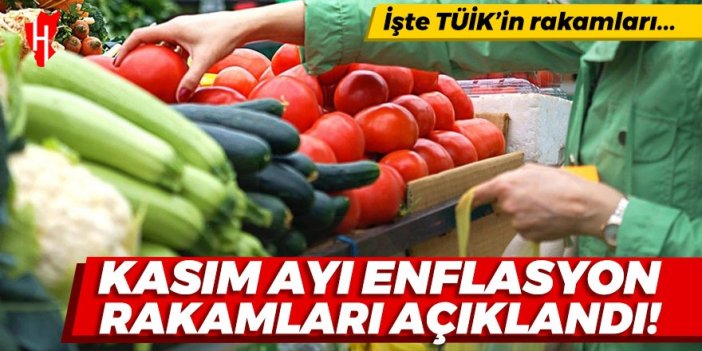 Son Dakika! Kasım ayı enflasyon rakamları açıklandı