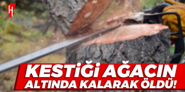 Talihsiz adam kestiği ağacın altında kalarak can verdi!