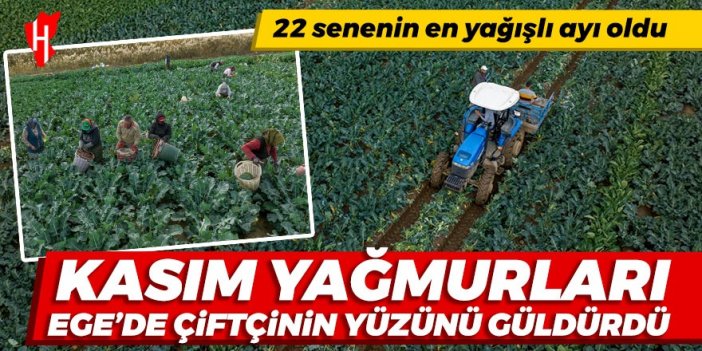 Kasım yağmurları Ege'de çiftçinin yüzünü güldürdü