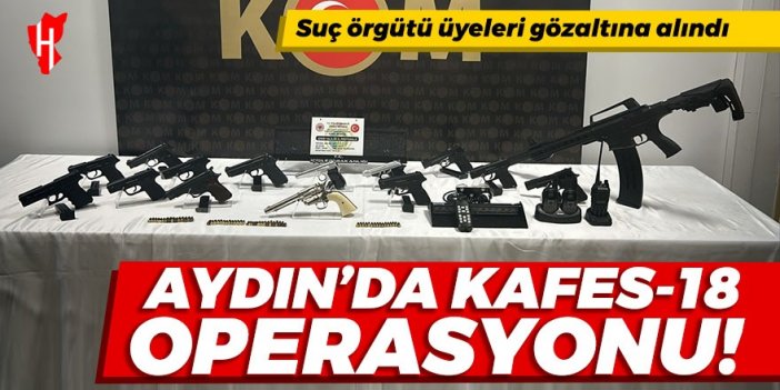 Aydın'da Kafes-18 operasyonu: Suç örgütü üyelerine gözaltı