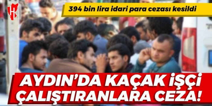 Aydın’da kaçak yabancı işçi çalıştıranlara ceza!