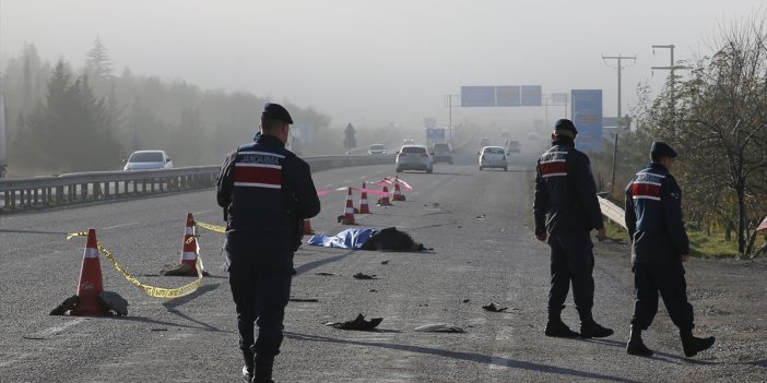 Kara yolunda feci kaza: Otomobilin çarptığı kadın öldü