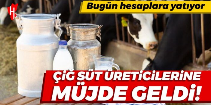 Çiğ süt üreticilerine müjde geldi! Bugün hesaplara yatıyor