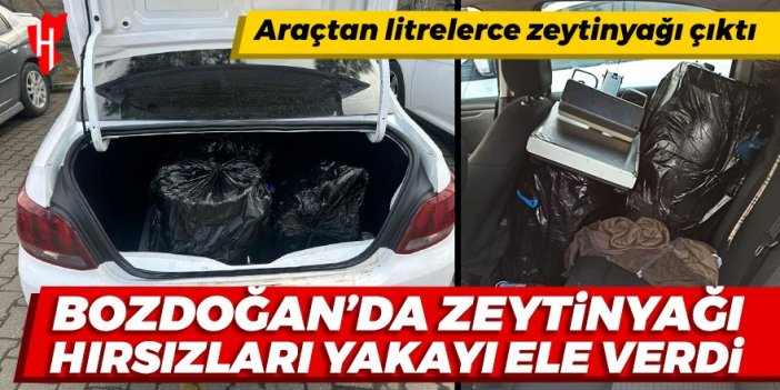 Bozdoğan'da zeytinyağı hırsızları kaçamadı! Litrelerce ele geçirildi..