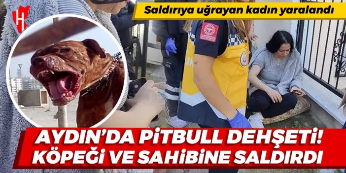 Aydın'da pitbull dehşeti! Köpeği ve sahibine saldırdı