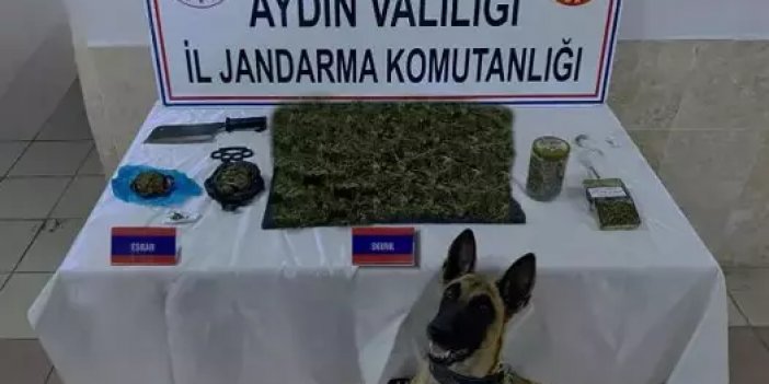 Nazilli'de uyuşturucu operasyonu! 1 gözaltı