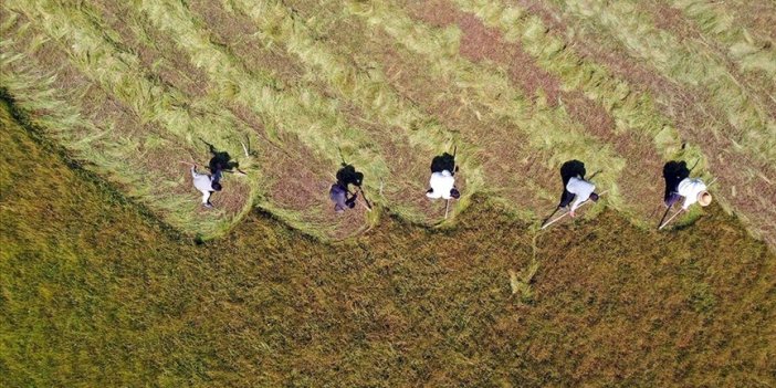 Çiftçilerin 4,2 milyar liralık tarımsal destekleme ödemesi bugün yapılacak